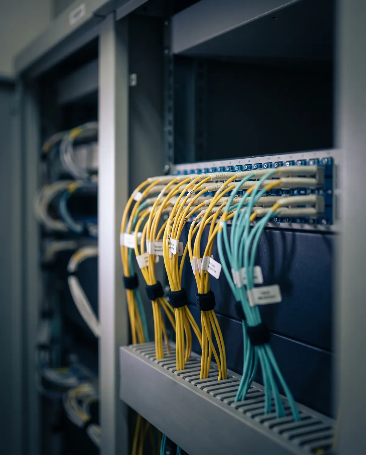 A labelled fibre patch panel in one of our cabinets